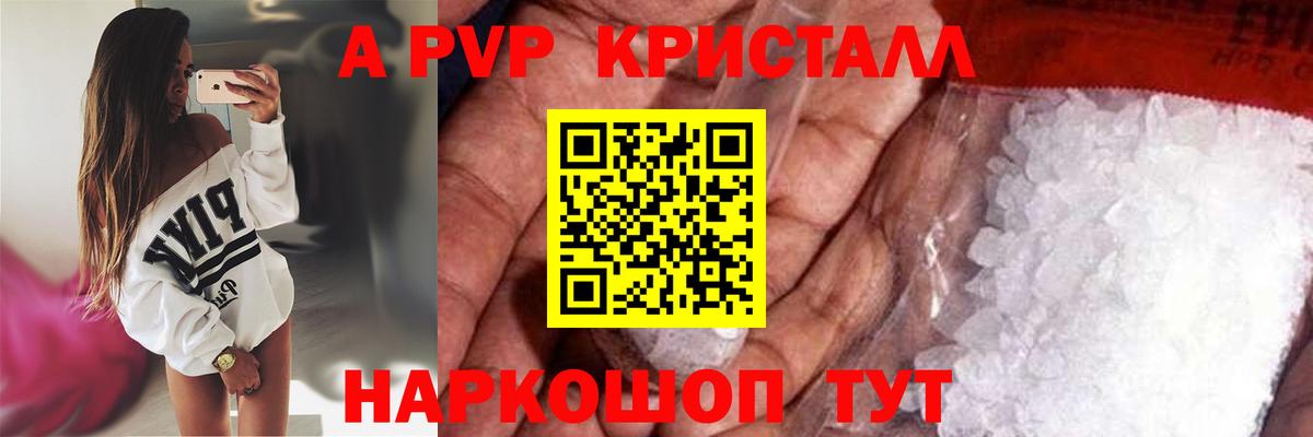 A PVP СК Саранск