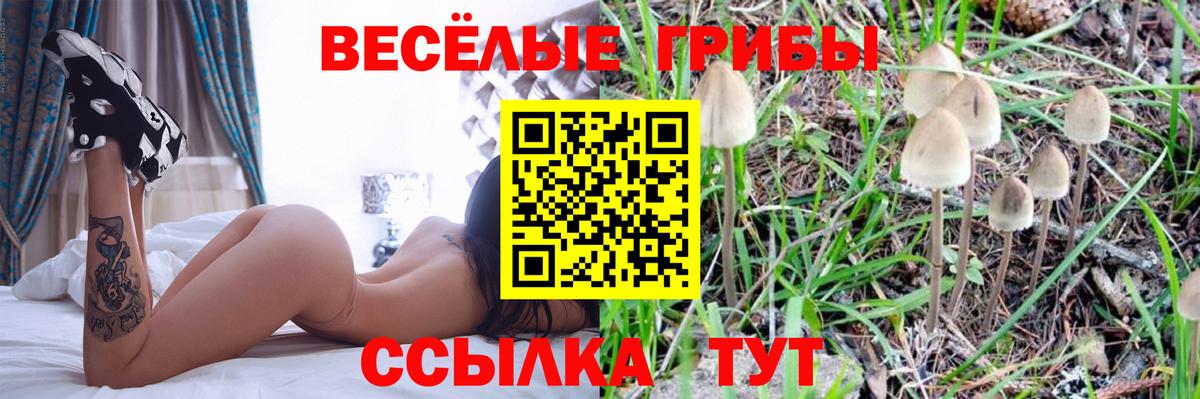 Саранск  Псилоцибиновые грибы Magic Shrooms  Вход с VPN 